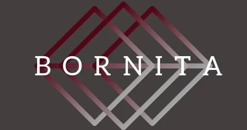 Bornita-বর্ণিতা